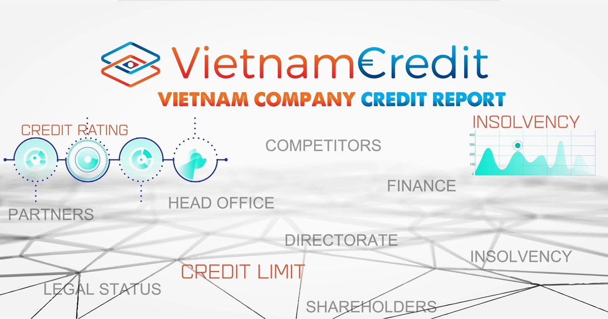 VIETNAM COMPANY CREDIT REPORT